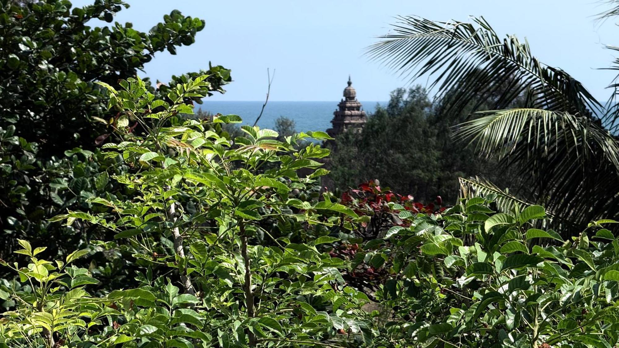 Sri Murugan Beach Paradise Hotel Mahabalipuram Exteriör bild